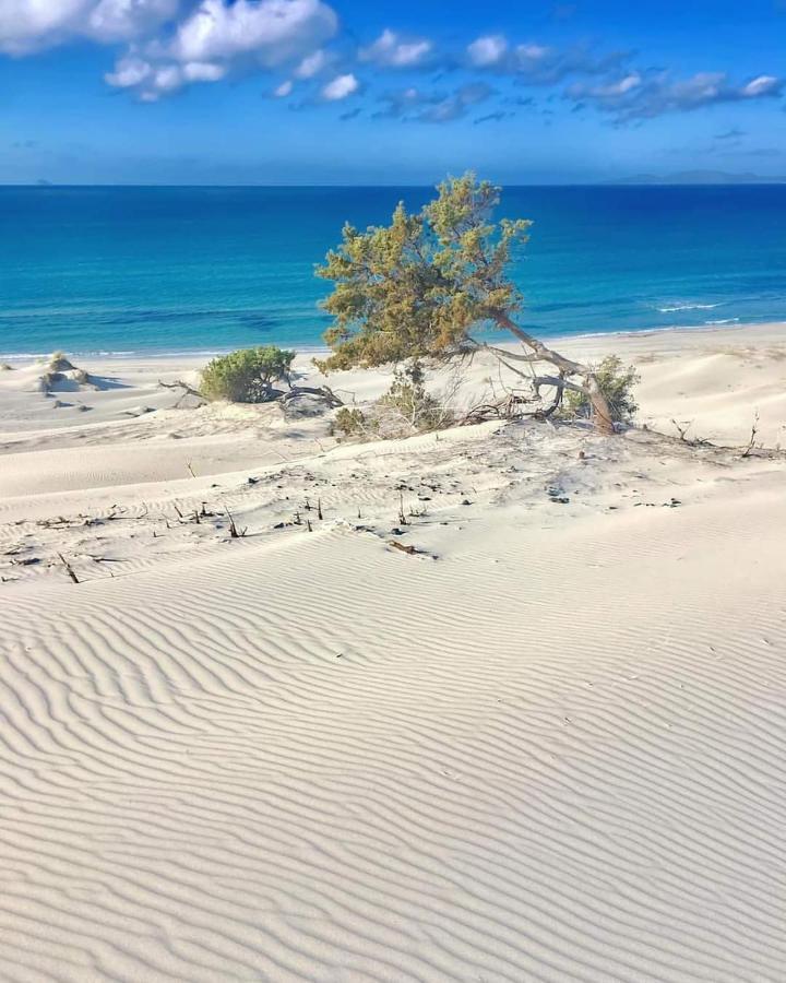 Case Vacanze Il Sogno 2 Порто-Пино Экстерьер фото